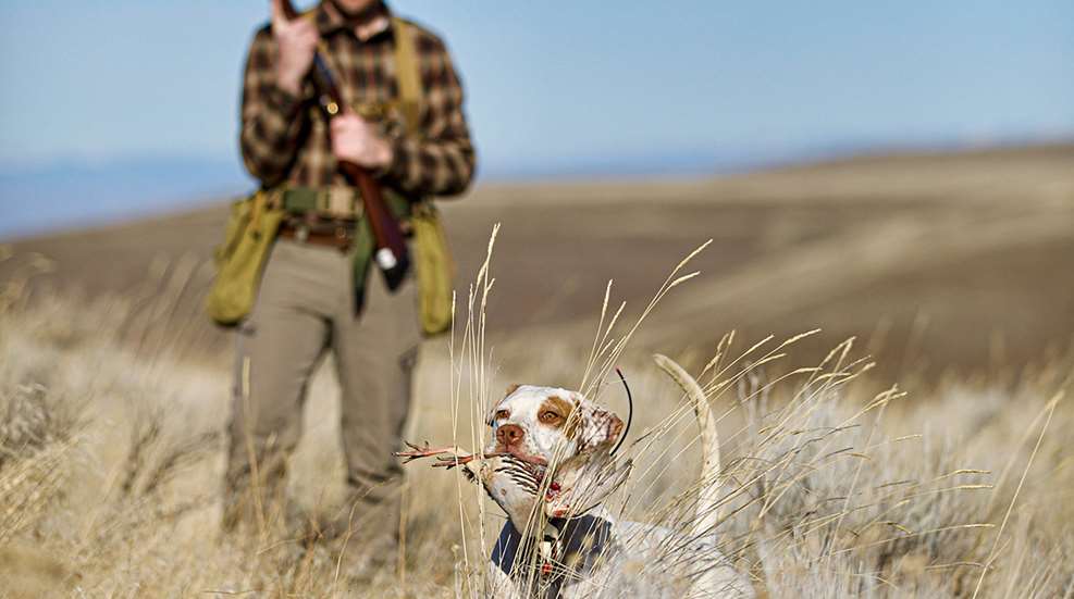 How To Hunt Chukar Lead