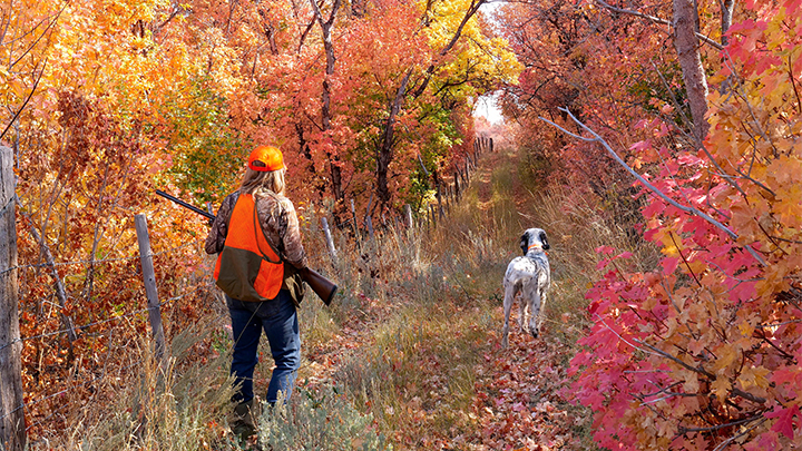 Female hunter grouse hunting