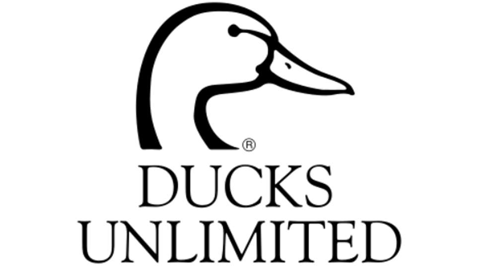Lede DU Logo