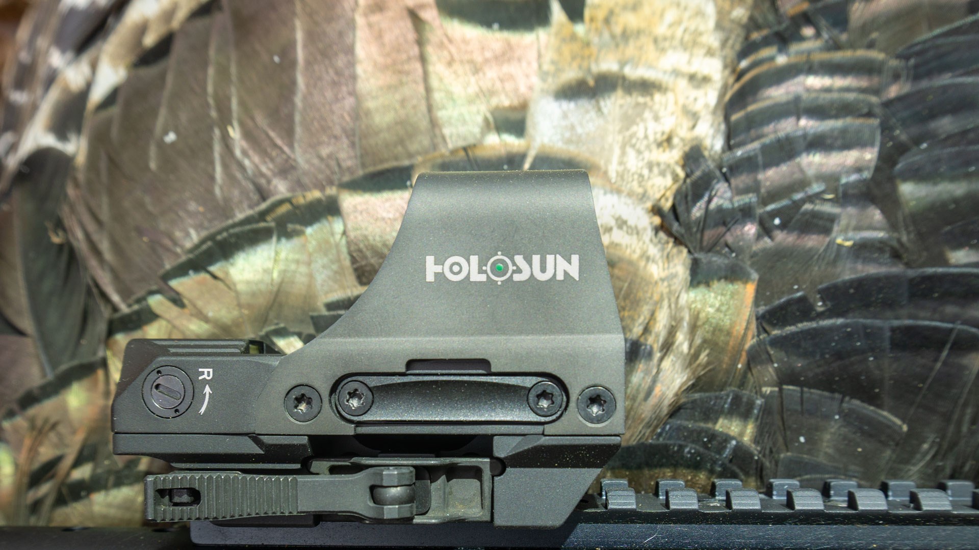 Holosun 510C on dead turkey