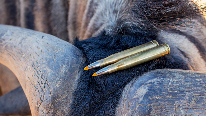 .300 H&amp;H Magnum Ammunition on Wildebeest