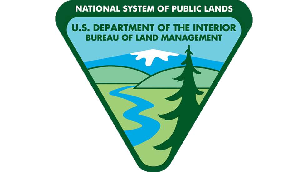 Ledeblm Dept Of Interior Logo