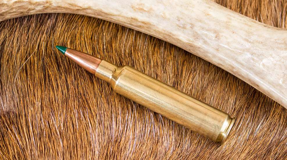 BTB 30 Nosler Lead