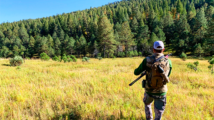 Hunting guide walking in high-country timber