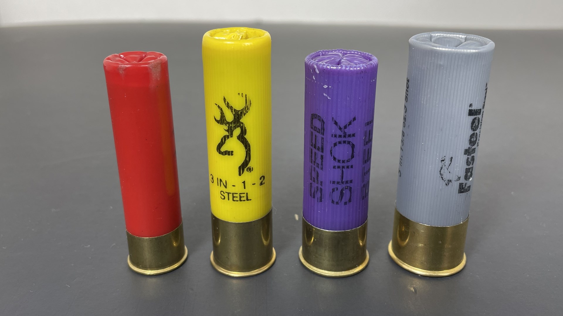 Shell length