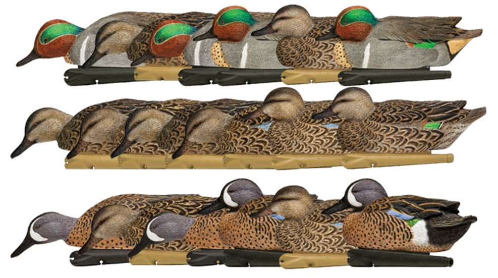 main-teal-composite.jpg