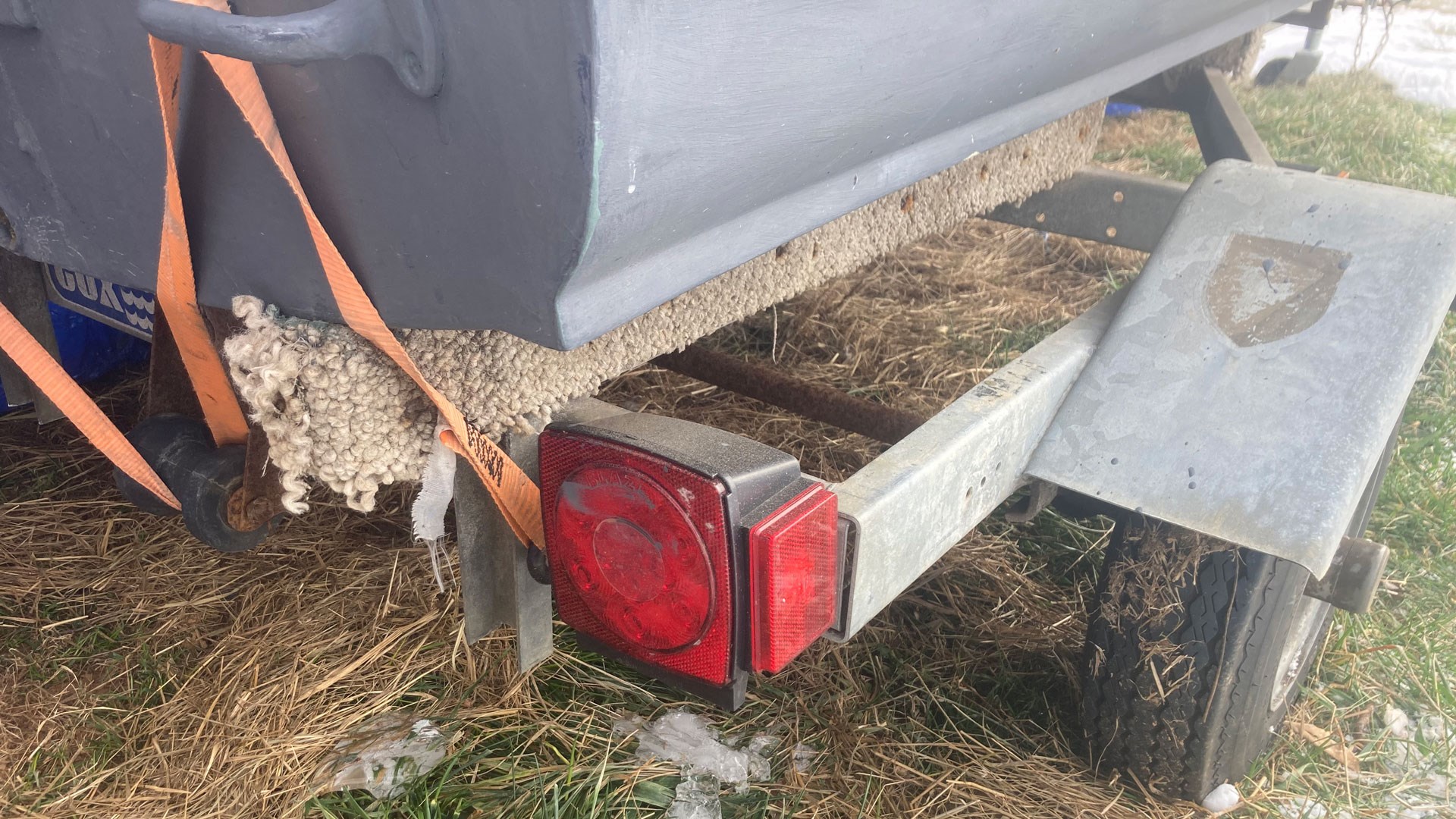 Trailer hitch light