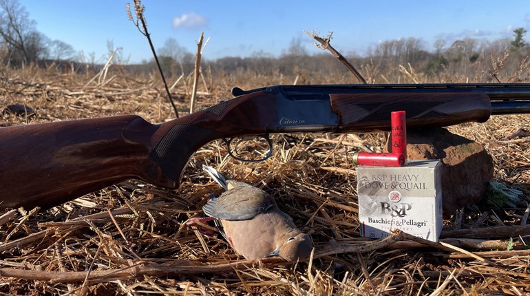 Premium Upland Loads: Worth the Price? | An Official Journal Of The NRA