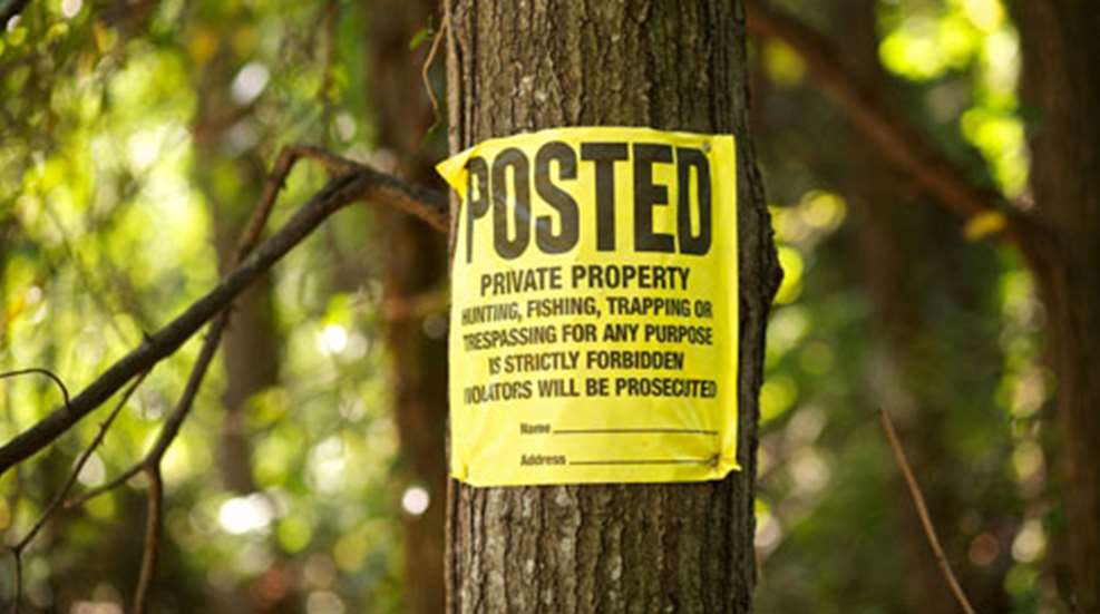 2012111145230-ruin_hunting_f.jpg