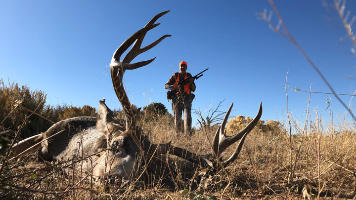 Hunter behind dead elk