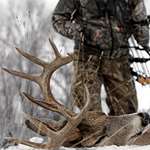deerrankno1_lead.jpg