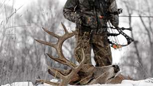 deerrankno1_lead.jpg