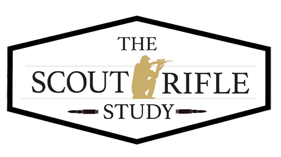scout_rifle_study_f.jpg