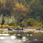 Decspreadriver10.19.21