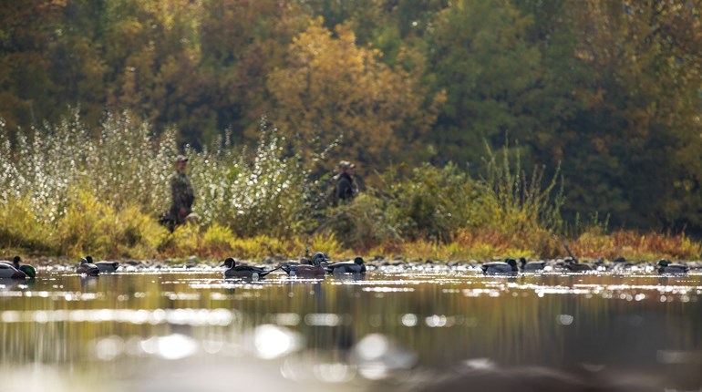 Run-n-Gun Ducks: Tips for Scouting and Understanding Bird Movement | An Official Journal Of The NRA