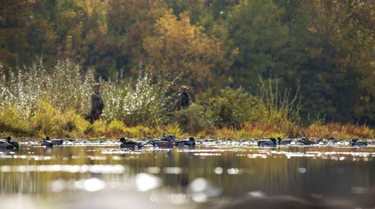 Run-n-Gun Ducks: Tips for Scouting and Understanding Bird Movement | An Official Journal Of The NRA