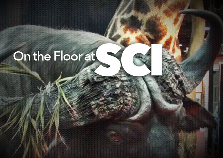 sci_ah2015_fs.jpg (11)