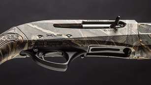 syren_waterfowler_f.jpg