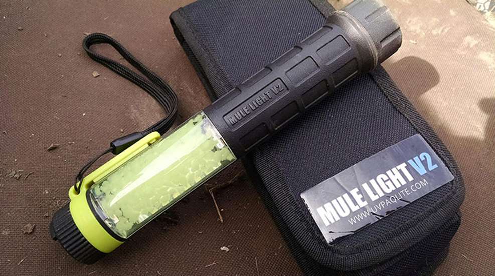 mule_light_f.jpg