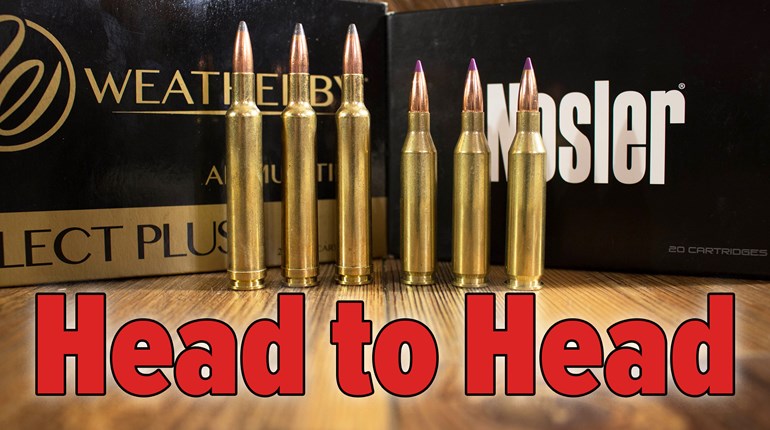 Head to Head: .243 Winchester vs. .240 Weatherby Magnum | An Official Journal Of The NRA