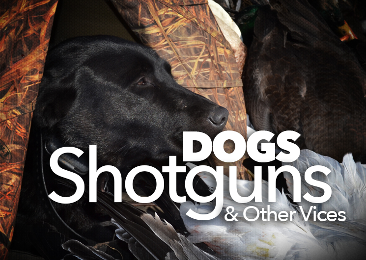 dogs_ah2015_fs.jpg (1)