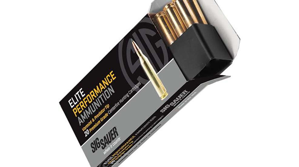 sig_sauer_elite_varmint.jpg
