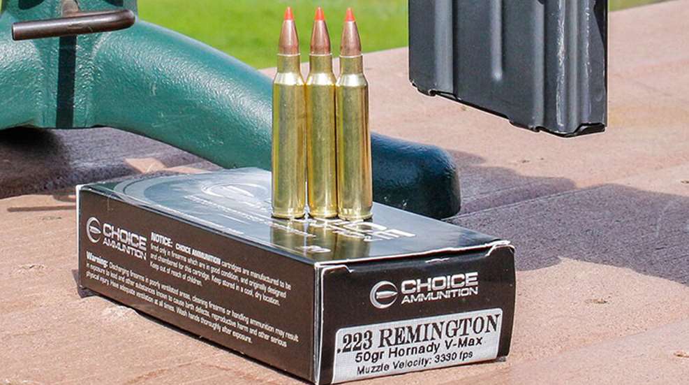 choice_ammo_f.jpg