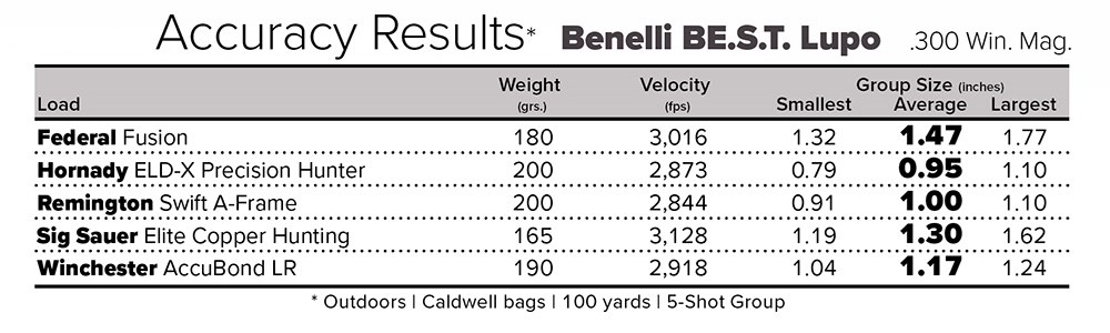 Benelli BE.S.T. Lupo Accuracy Results table.