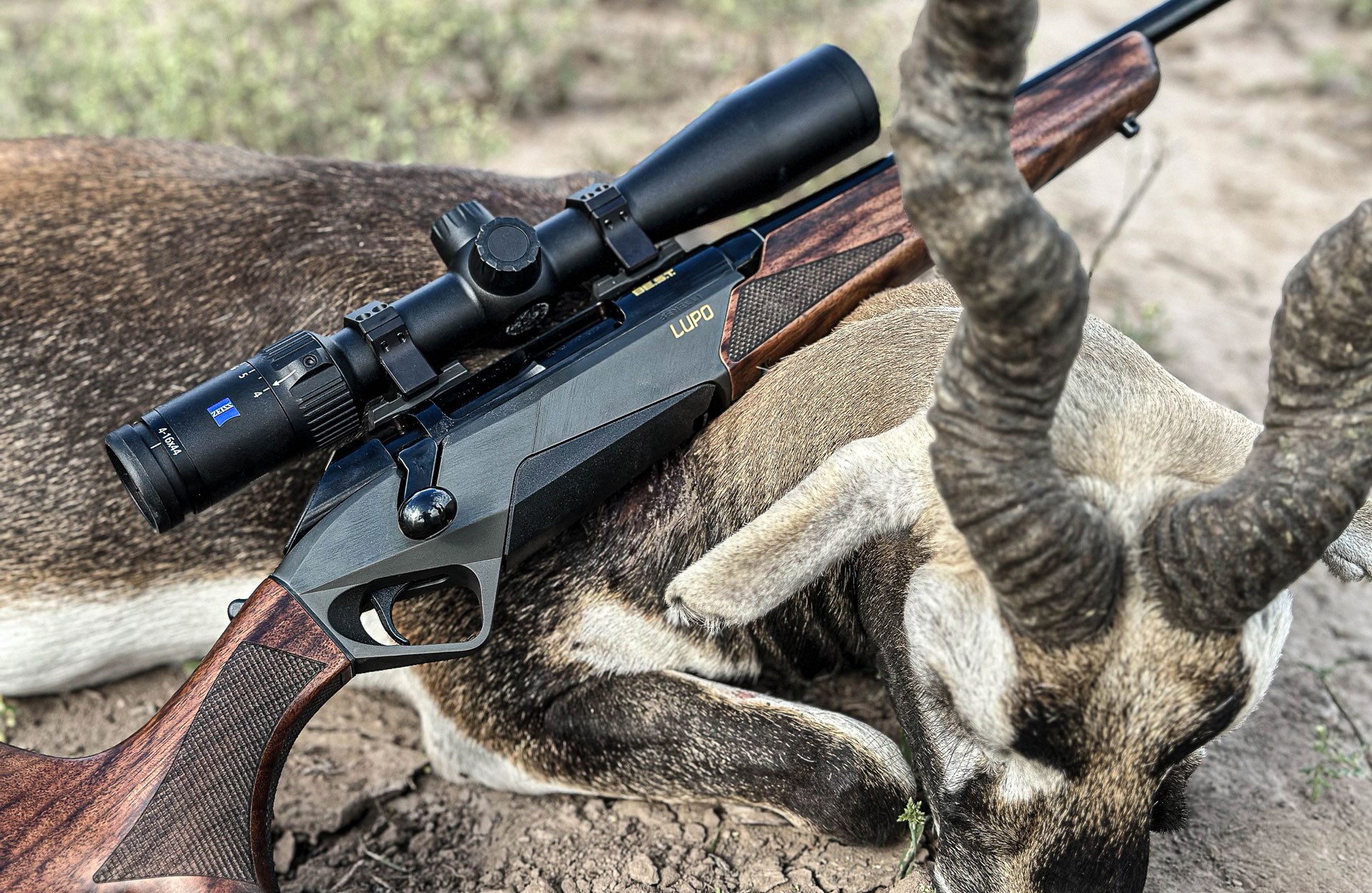 Benelli Lupo with Blackbuck