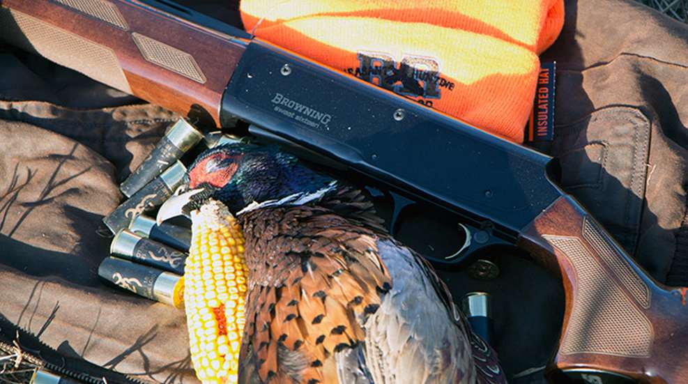 sd_pheasants_feature.jpg