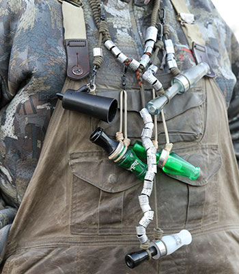 Duck calls with bands from mallard ducks