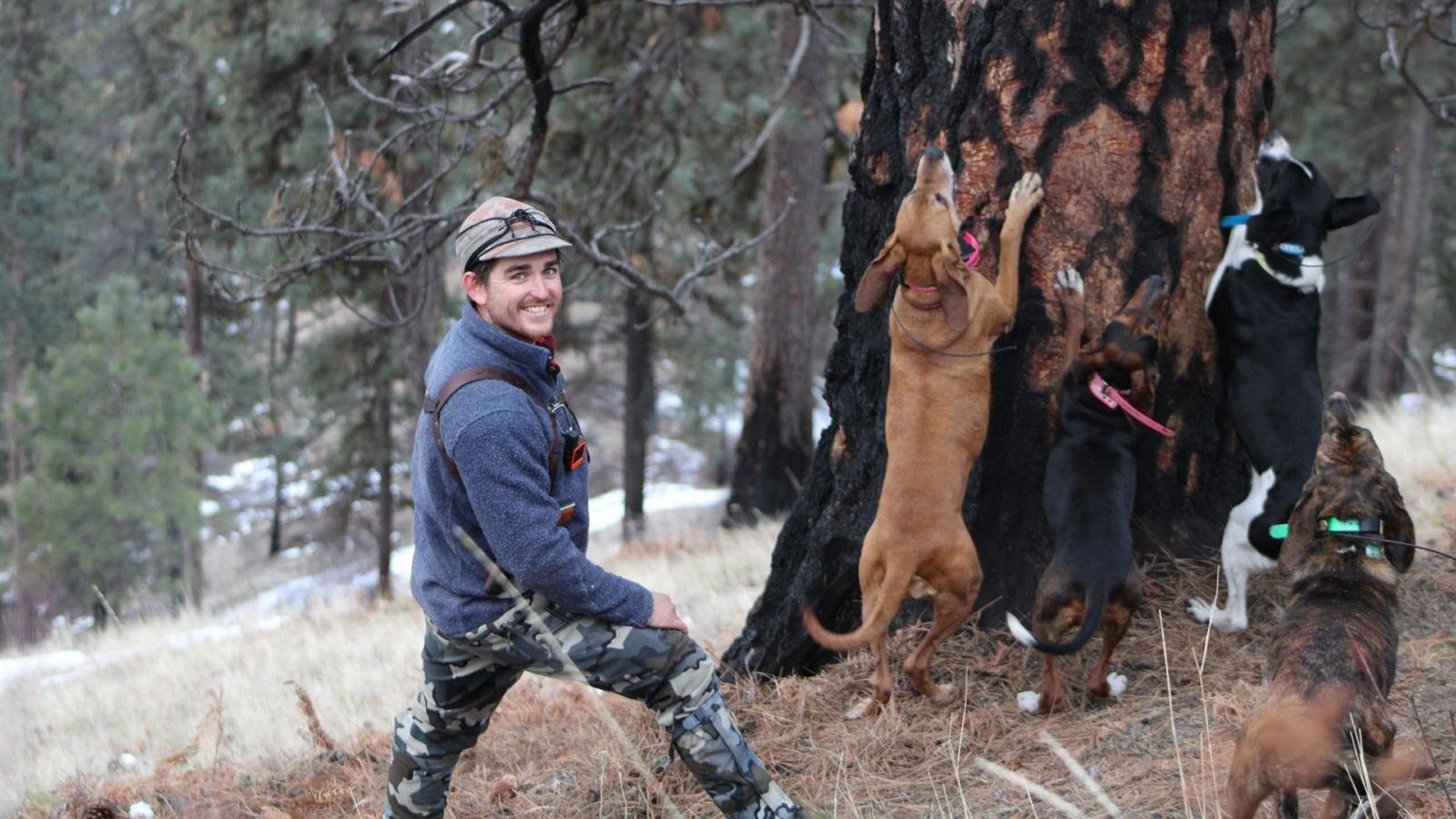 Dan with his dogs
