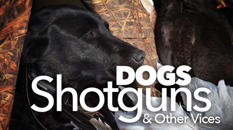 dogs_ah2015_fs.jpg (3)
