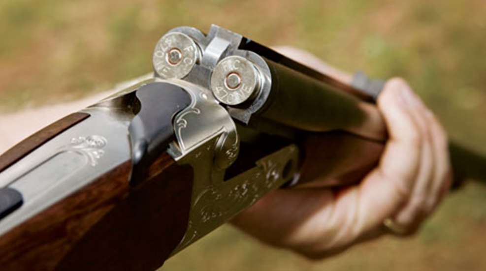 200961-zentboltordouble_fs.jpg