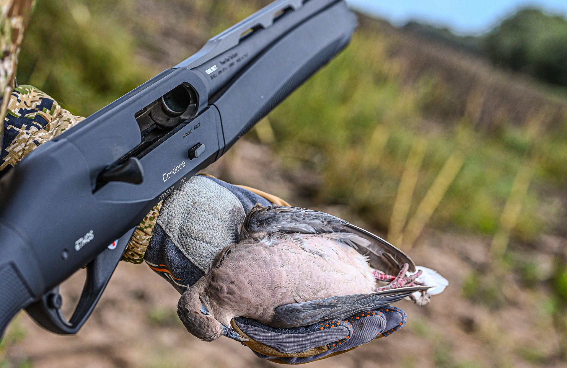 Dove hunting occurs year-round in Argentina. With zero bag limits, hunters can shoot hundreds of birds a day, if their shoulders don’t give out first.