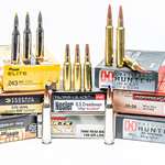 top10elkcartridges-alltime_lead.jpg
