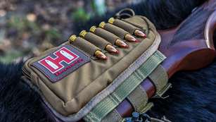 8bestcharge-stoppingbearcartridges_lead.jpg