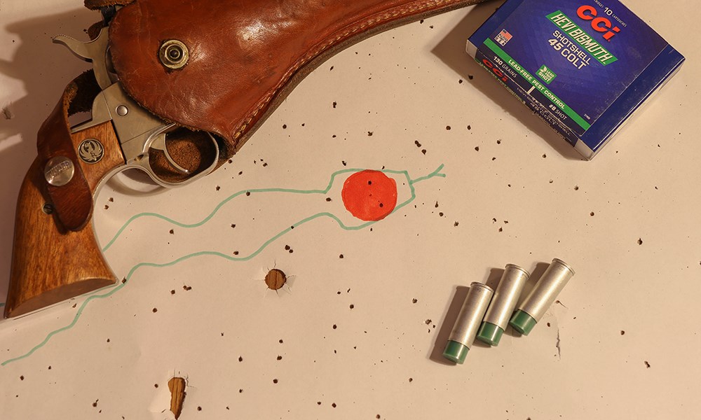 CCI Hevi Bismuth .45 Colt ammuntion on snake target with Ruger revolver.