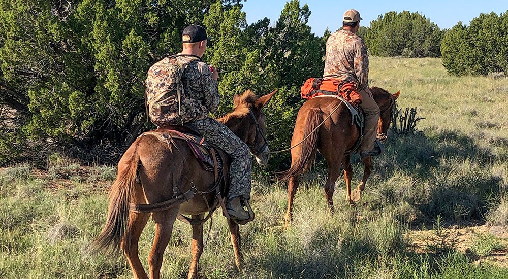 Hunters on Horseback