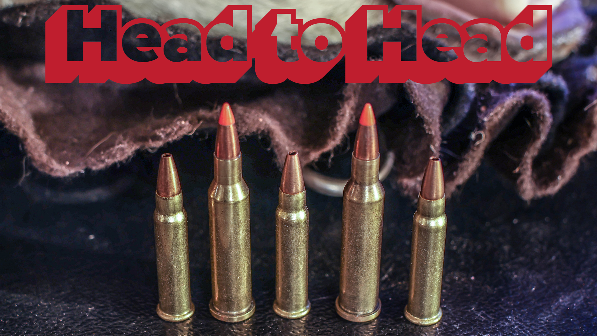 Lead Photo 17HMR V 17 Hornet