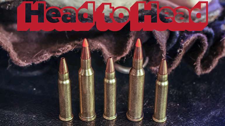 Lead Photo 17HMR V 17 Hornet