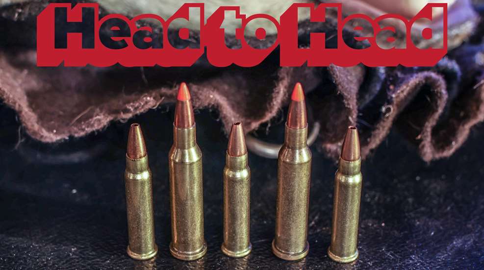 Lead Photo 17HMR V 17 Hornet
