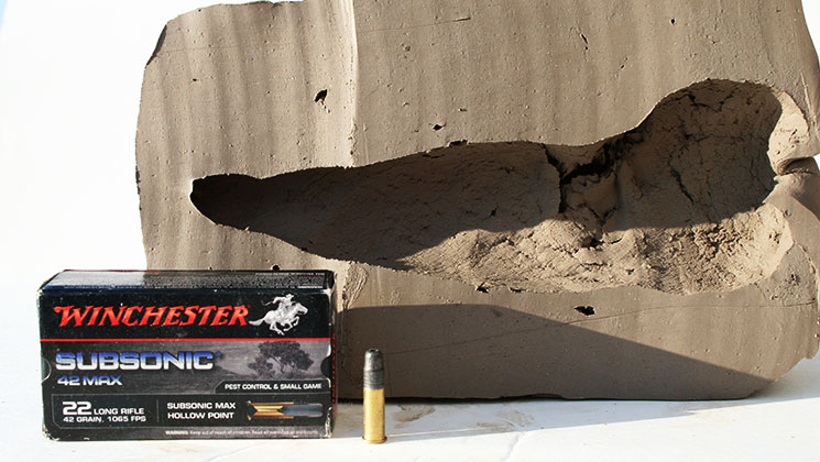 Top 6 Subsonic .22 LR Loads for Small-Game Hunting