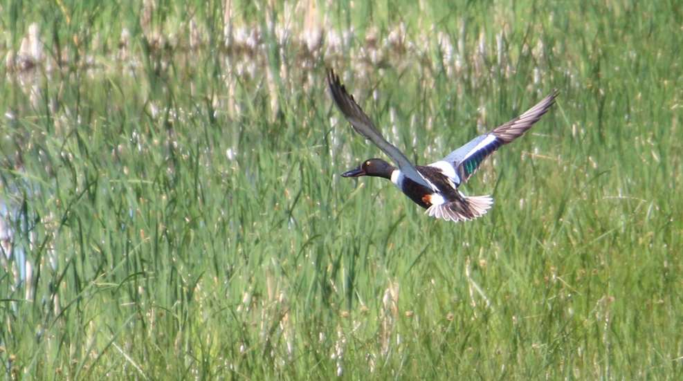 Ledehunting And Fishing Access Expands Again