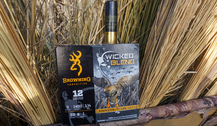 Wicked Blend with Shotshell