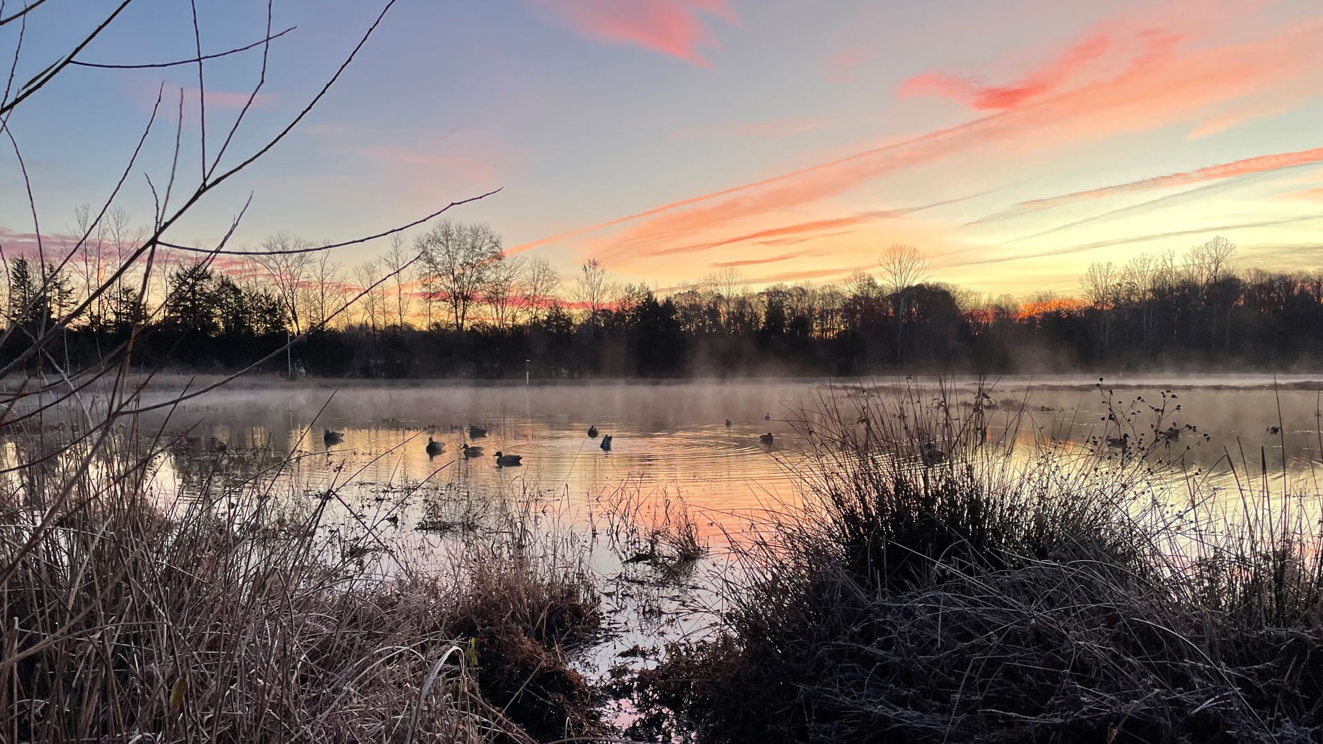 Mist on water