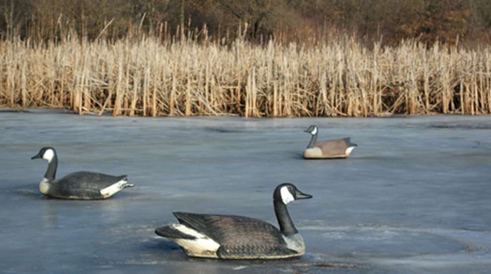 201213165019-smallwater_f.jpg