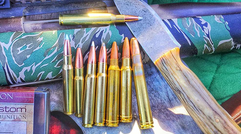 top_moose_cartridges_f.jpg