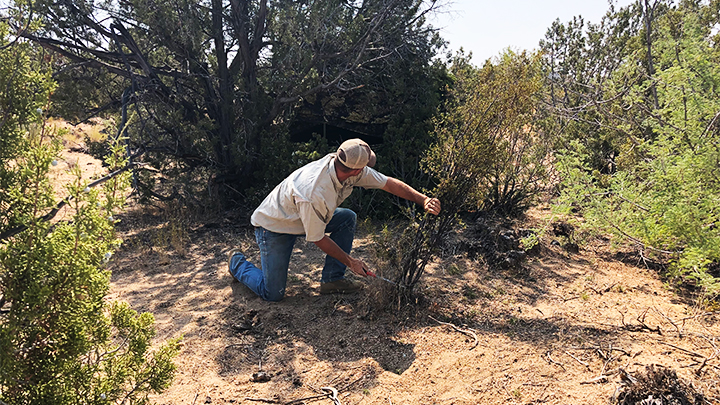 Hunter adding personal scent containment measures to ground blind.