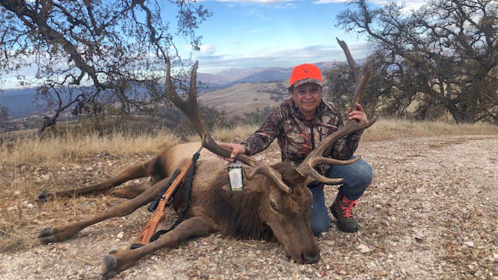 Female hunter with bull tule elk in California